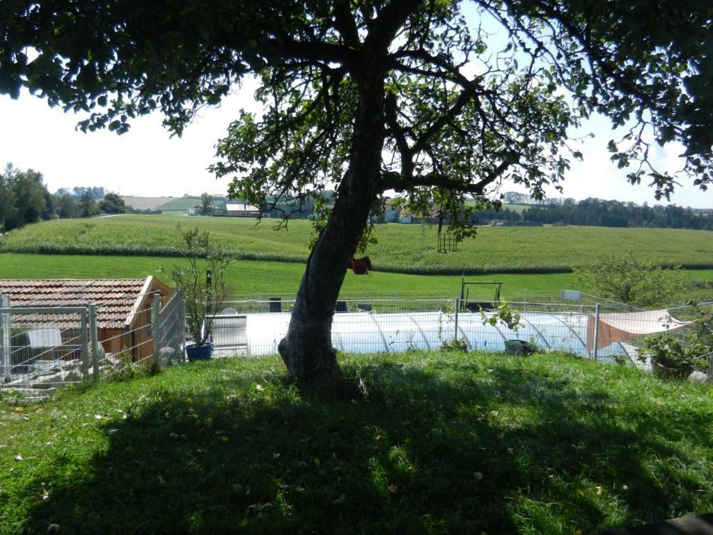 Ferienhof Loew Salzweg Kültér fotó