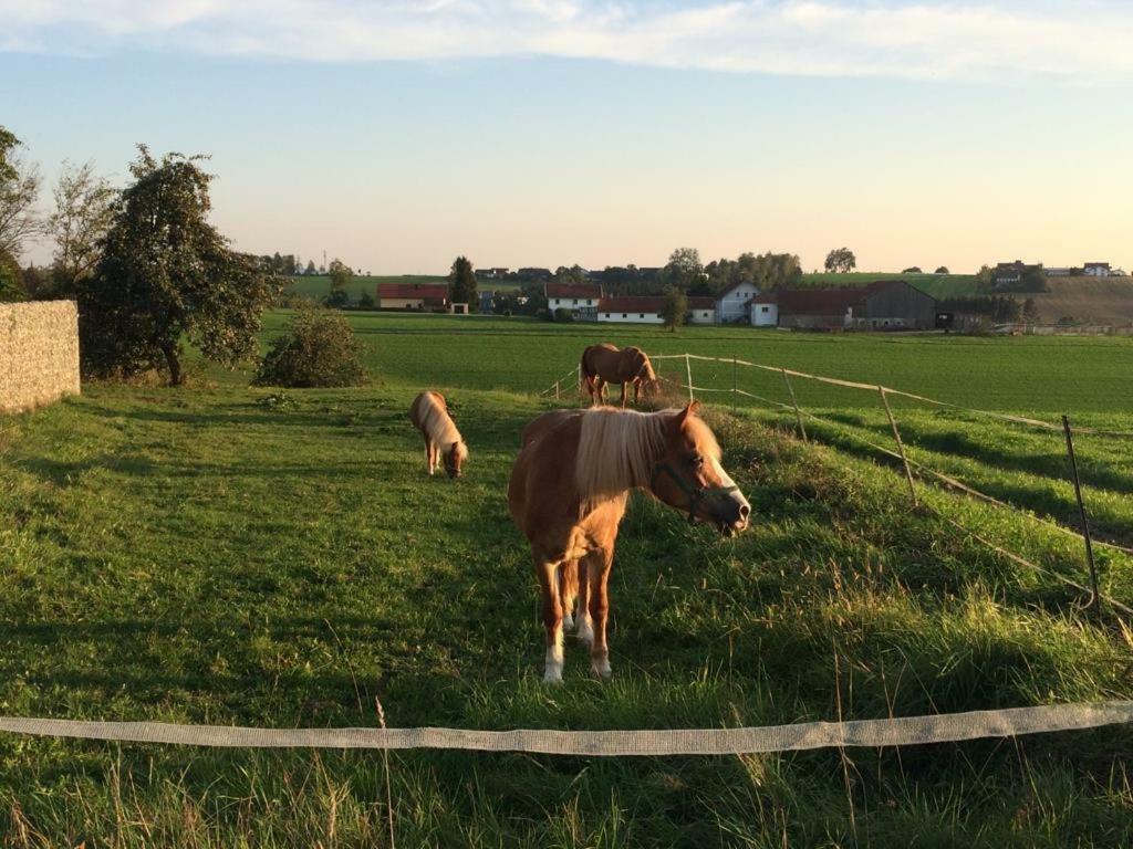 Ferienhof Loew Salzweg Kültér fotó