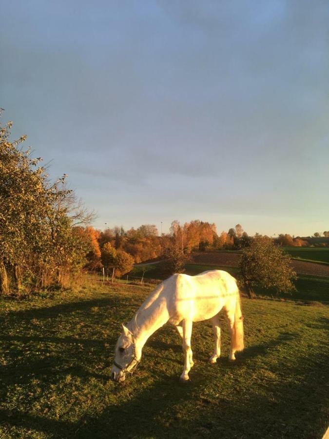 Ferienhof Loew Salzweg Kültér fotó