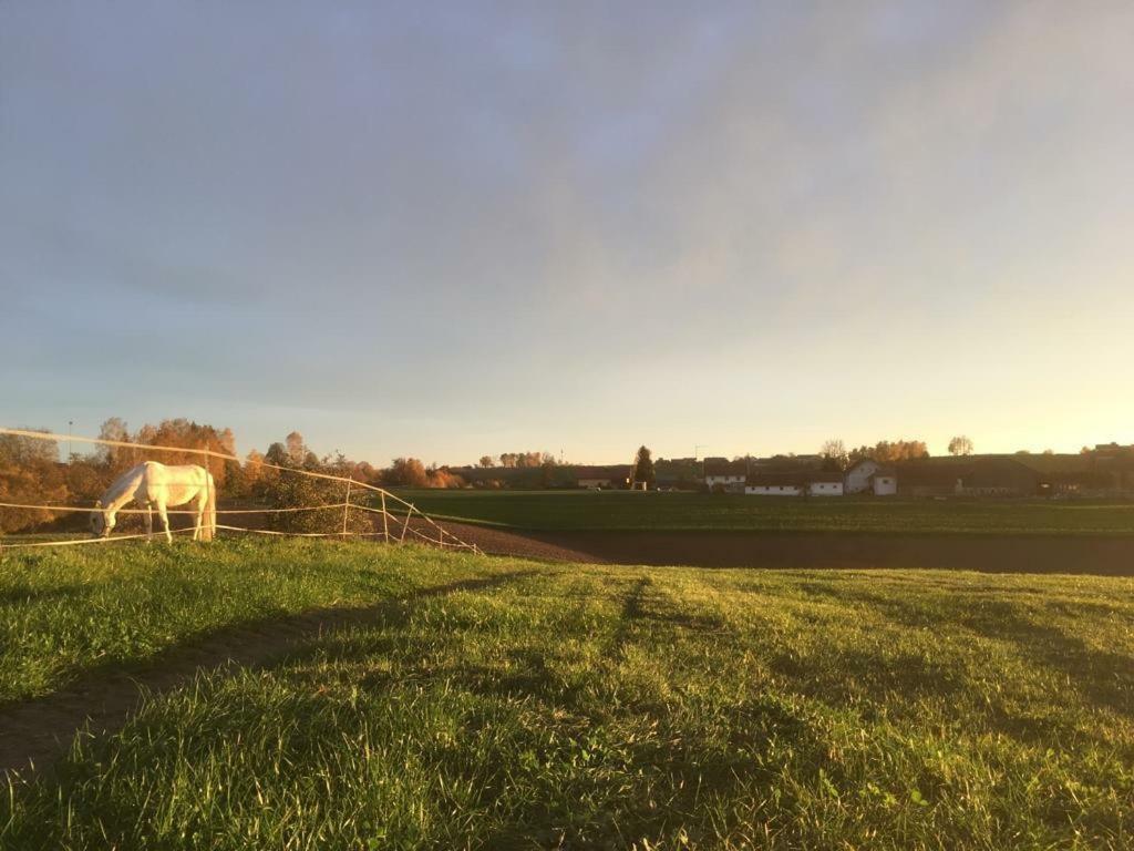 Ferienhof Loew Salzweg Kültér fotó